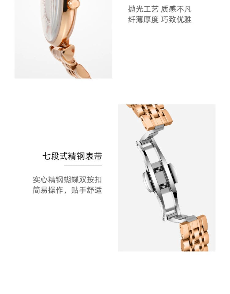 摩天轮满天星镶钻2025新款正品时尚防水女士手表轻奢小众名牌女表